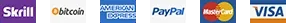 payment logo
